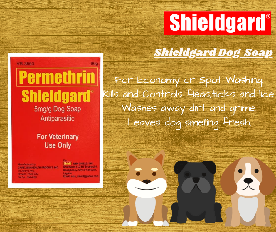 Shieldgard Bundle C (F&T Powder , Dog Soap & Cologne Lavender) | Shopee ...