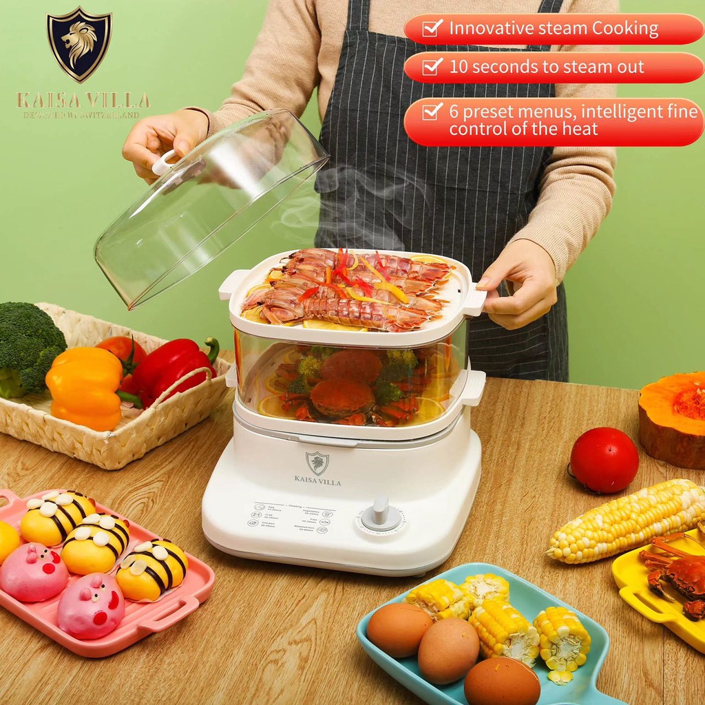 Electric steamer household small / multi-function / electric steamer ...
