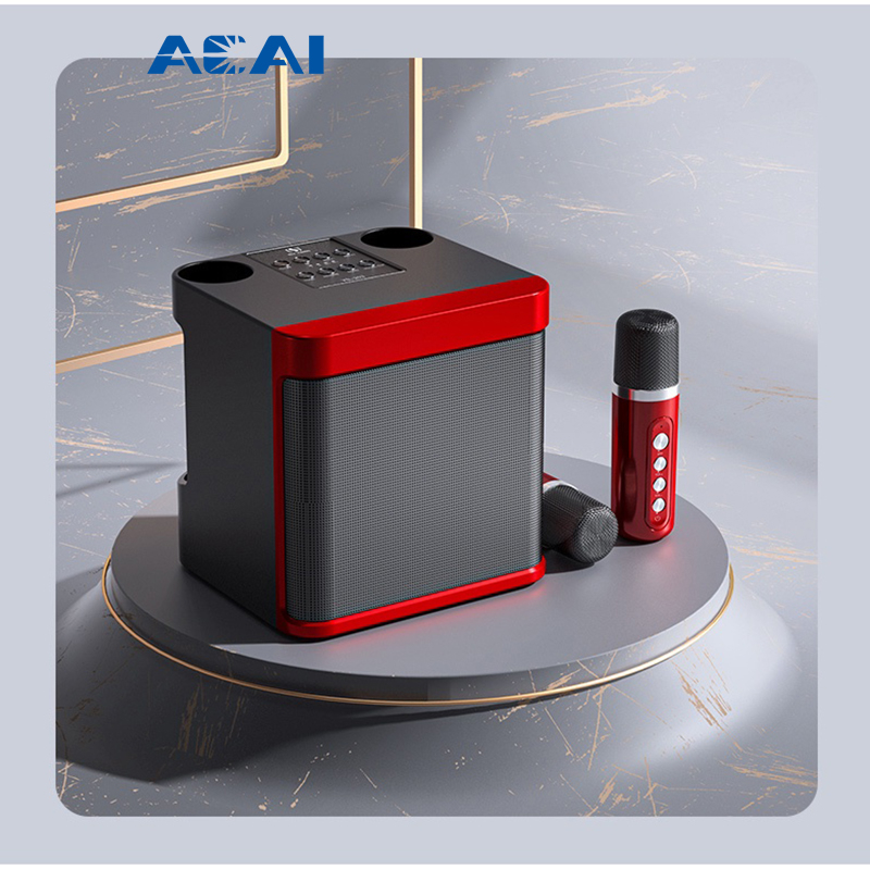 Karaoke Speaker Wireless Bluetooth Dual Microphone 3D Stereo Amplifier ...