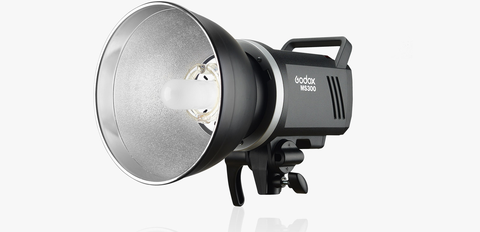 Godox MS Series Dual Studio Flashes Kit MS200-F / MS300-F (2-Light Kit ...