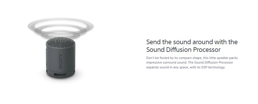 SONY SRS-XB100 Portable Bluetooth Speaker Shopee Philippines