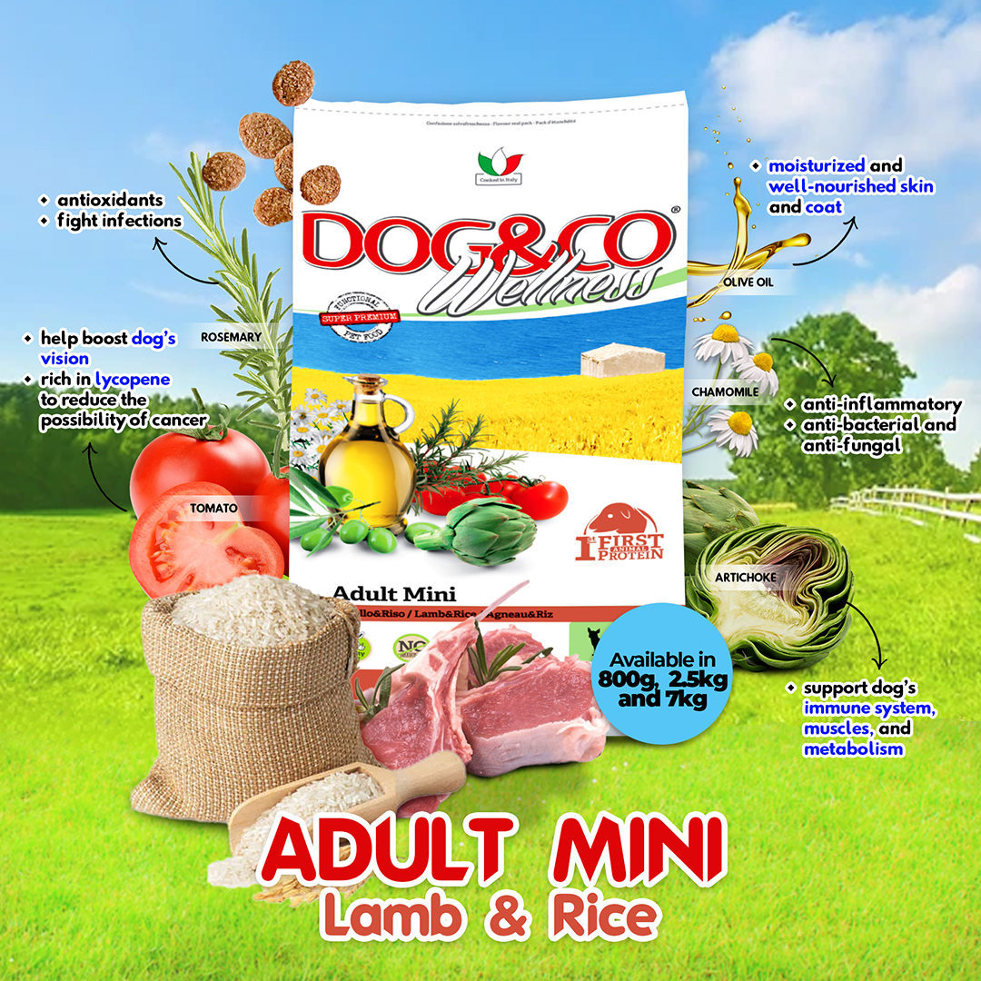 Dog Co Wellness Adult Mini Lamb Rice Premium Dog Food Shopee Philippines