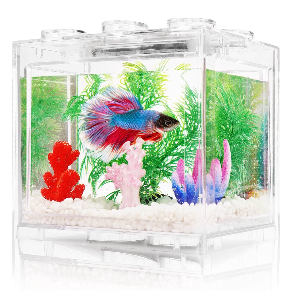 Mini Aquarium Fish Tank Block Tank Desktop Betta Guppy Building Block ...