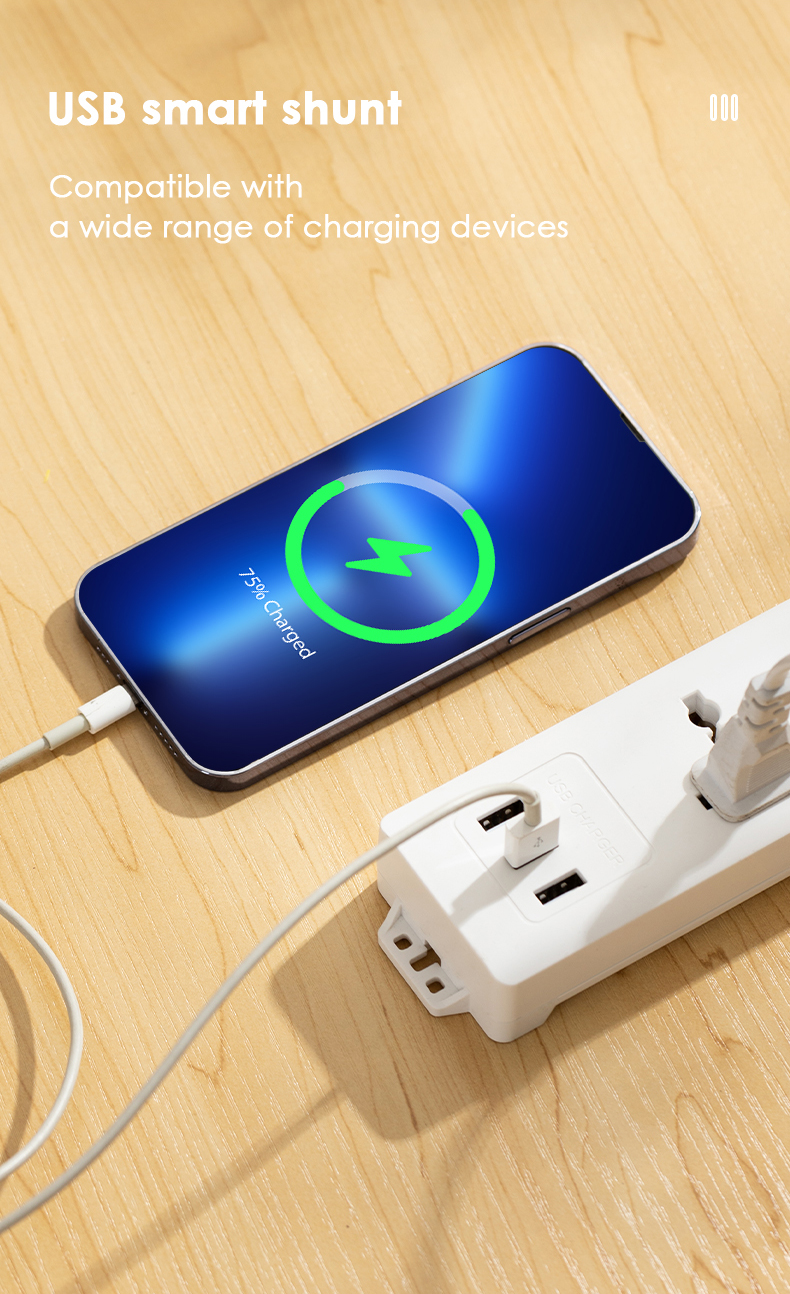 Deli Power Socket Extension Universal Electric Sockets With USB Port ...