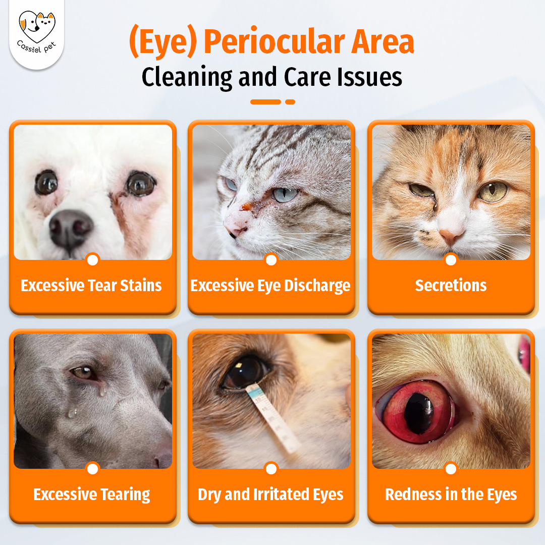 Cassiel Pet Eye Care Drops For Eyes Tear Stain Removing Dirt Anti