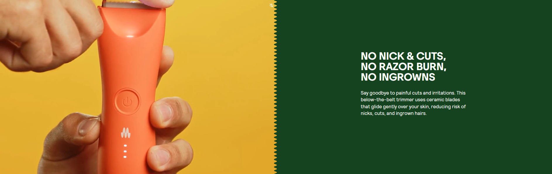 Meridian The Trimmer Premium Waterproof Electric Razor Body & Hair ...