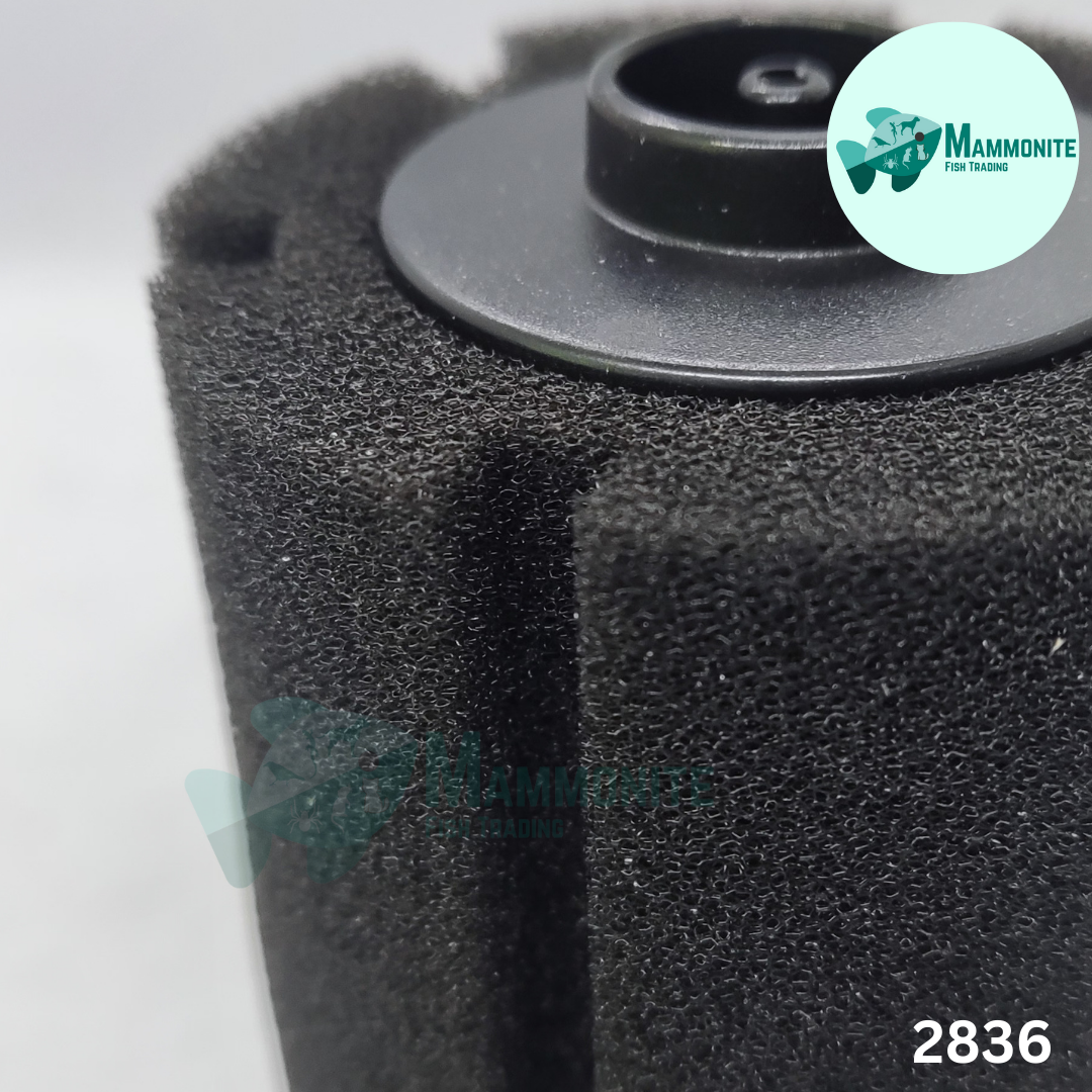 Infinity Bio Sponge Filter XY 2836 5.5x8.3cm Aquarium Filtration Clean ...