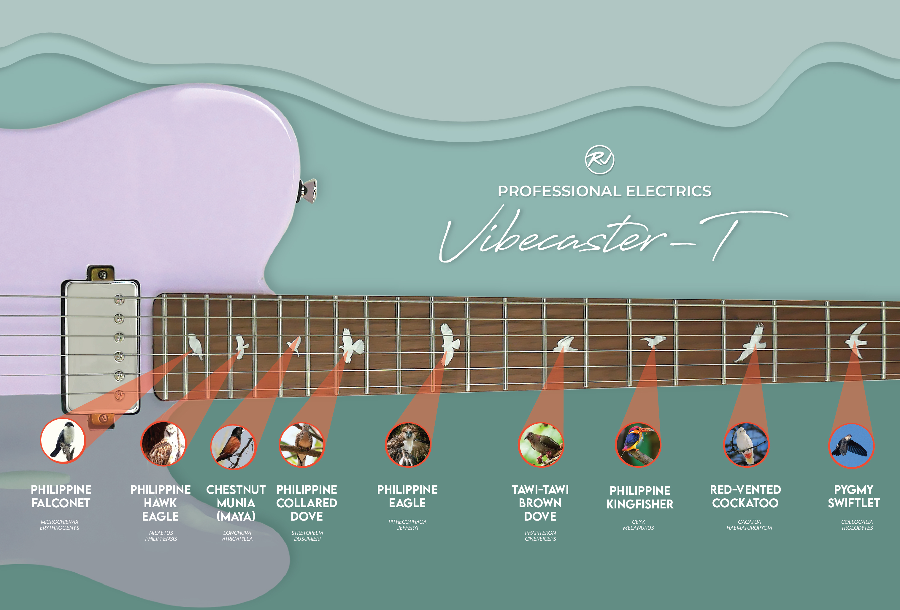 RJ Professional Electrics Vibecaster T (T-Style Body) | Shopee