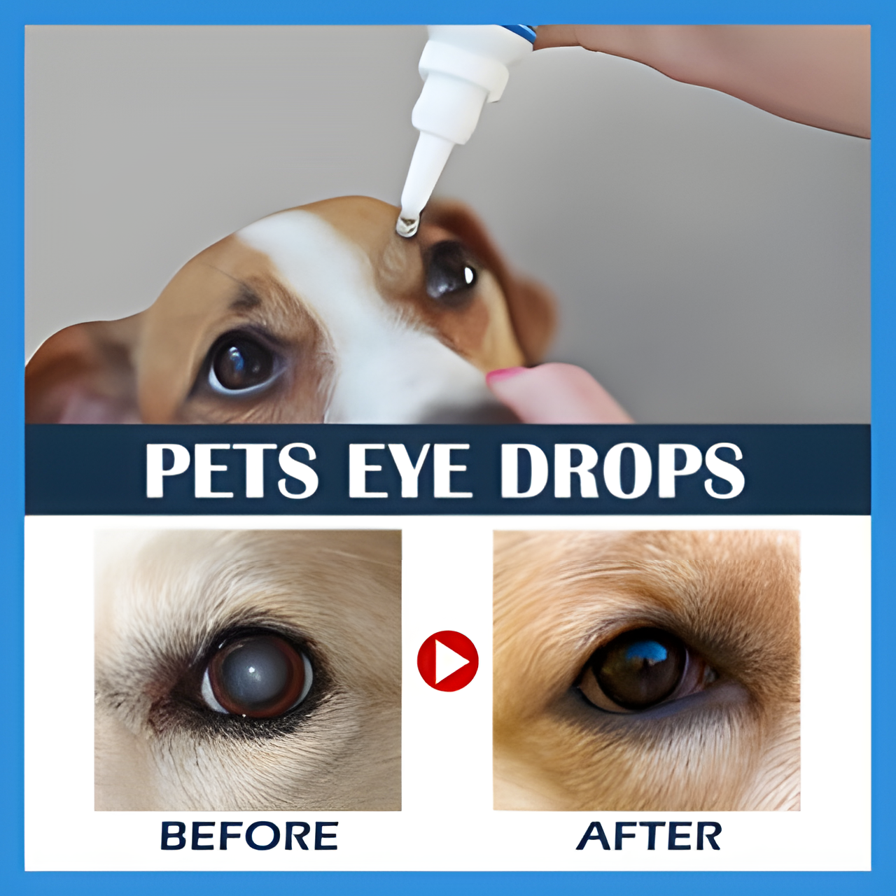Gentamicin Eye Drops for Pet Cat Dogs Eye Infection treatment 5ml Cat ...