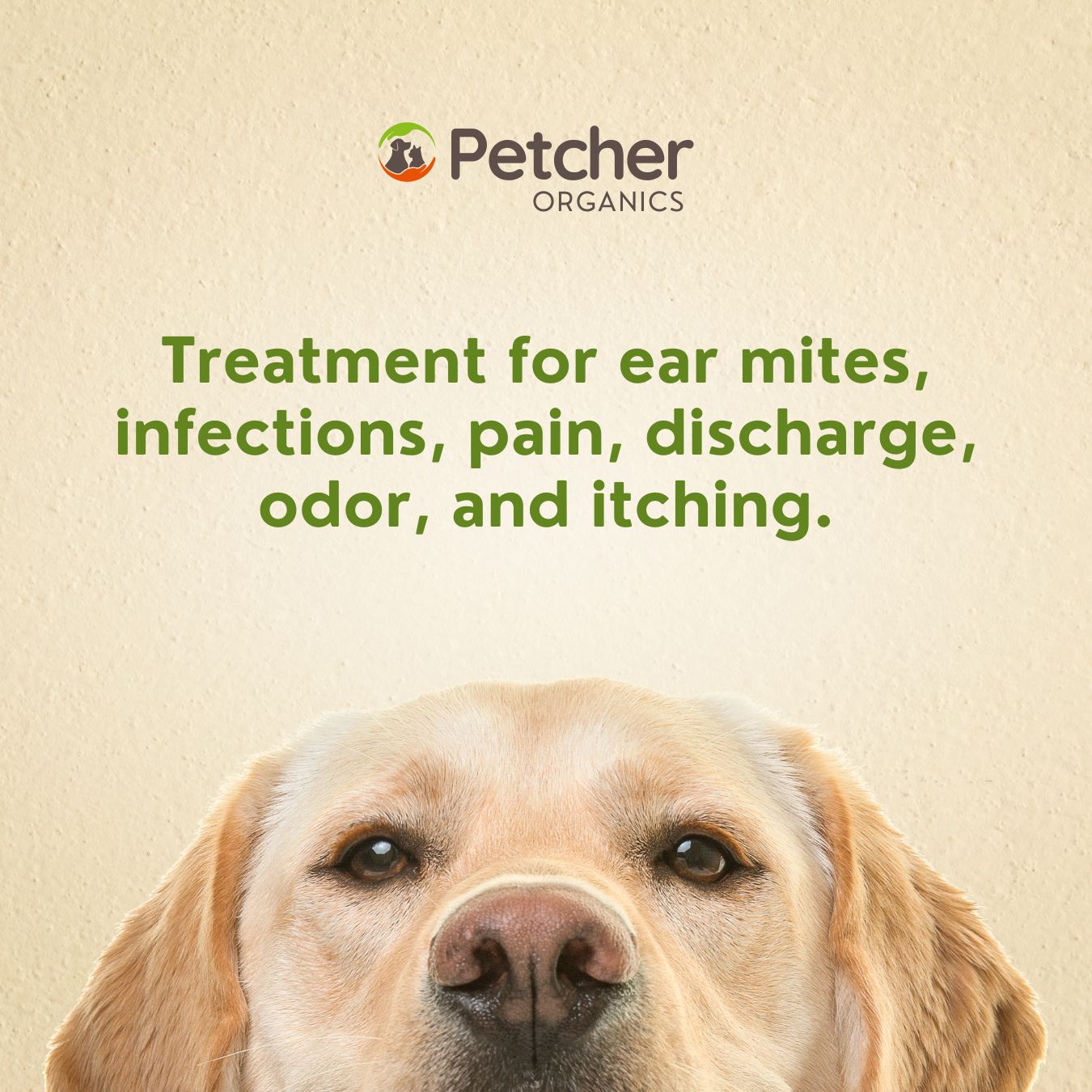 Petcher Organics Pet Ear Drops 20ml Ear Mites Odor Removal and Itching