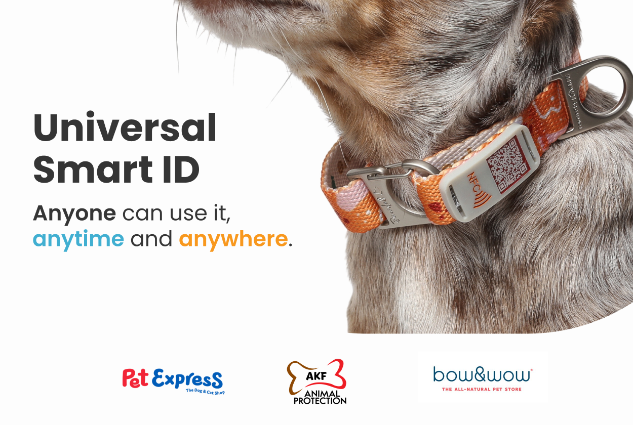 NeoCollar 2in1 collar with ID tag Collar with Name Tag Dog and Cat