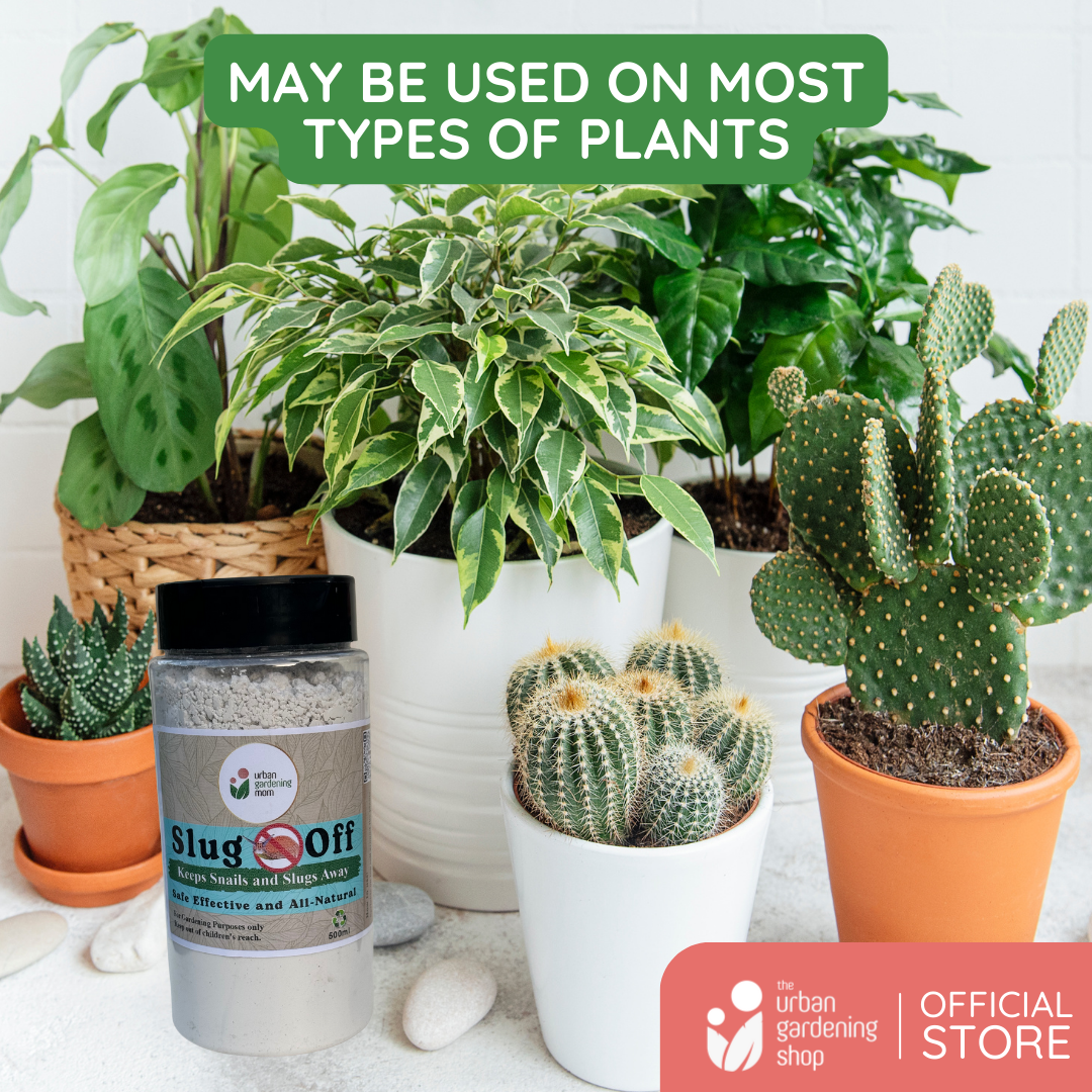Slug Off - All-Natural Chemical-Free Non-toxic Solution to Your Garden ...