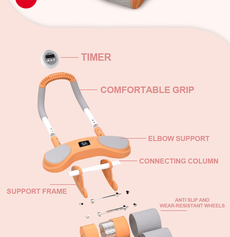 Dolphin Beginner Abdominal Health Wheel With Timer Support Rebound ...