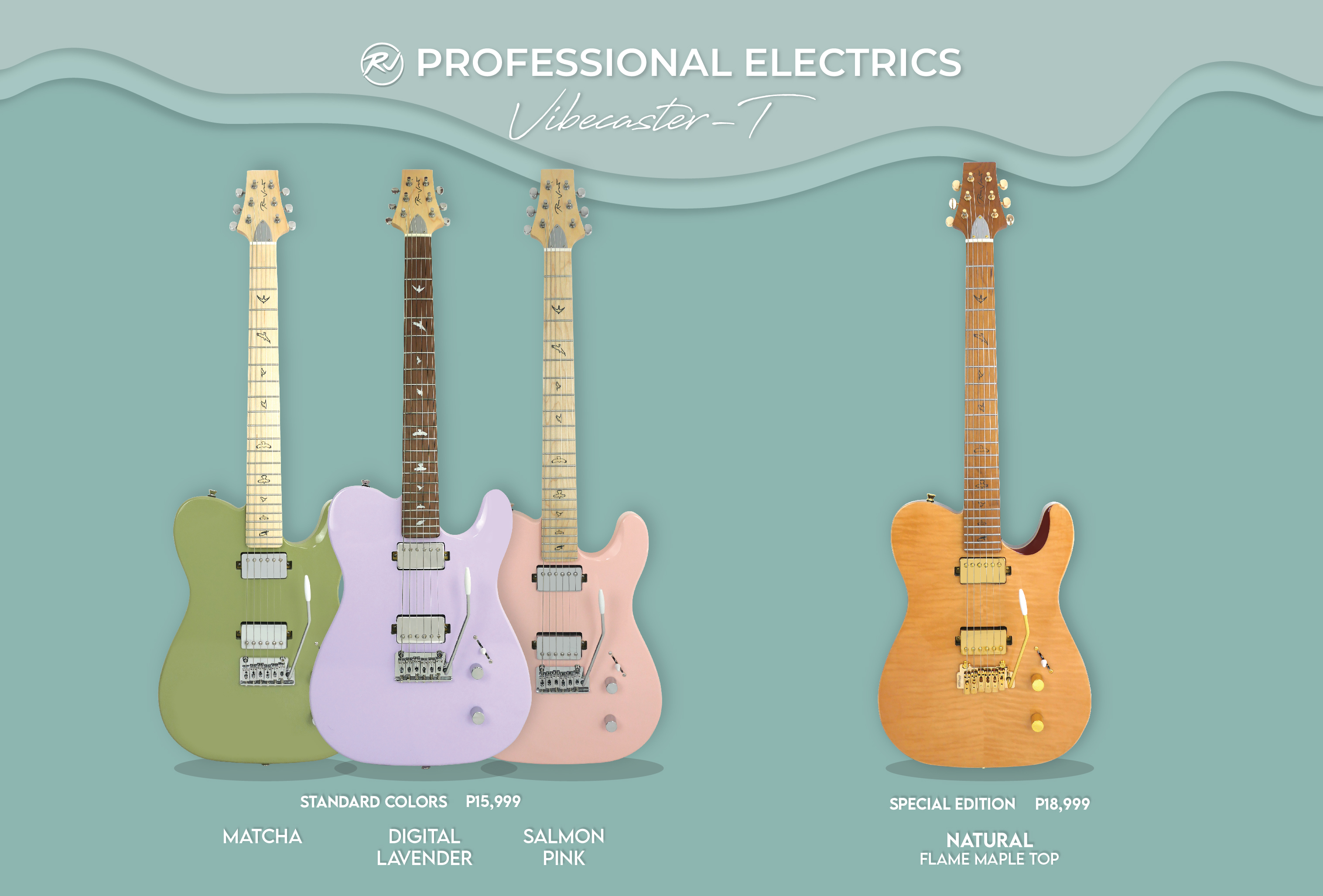 RJ Professional Electrics Vibecaster T (T-Style Body