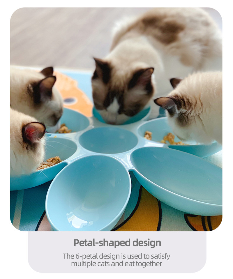 Multiple Cat Plate Bowl Petal Shaped Six Compartment Pet Dinner Bowl ...