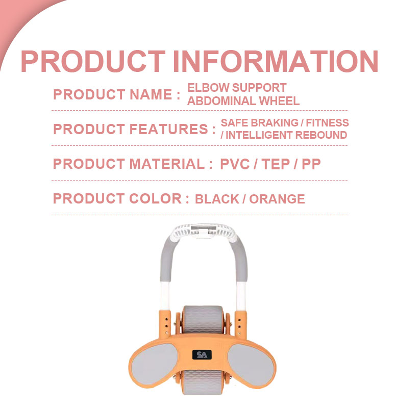 Dolphin Beginner Abdominal Health Wheel With Timer Support Rebound ...