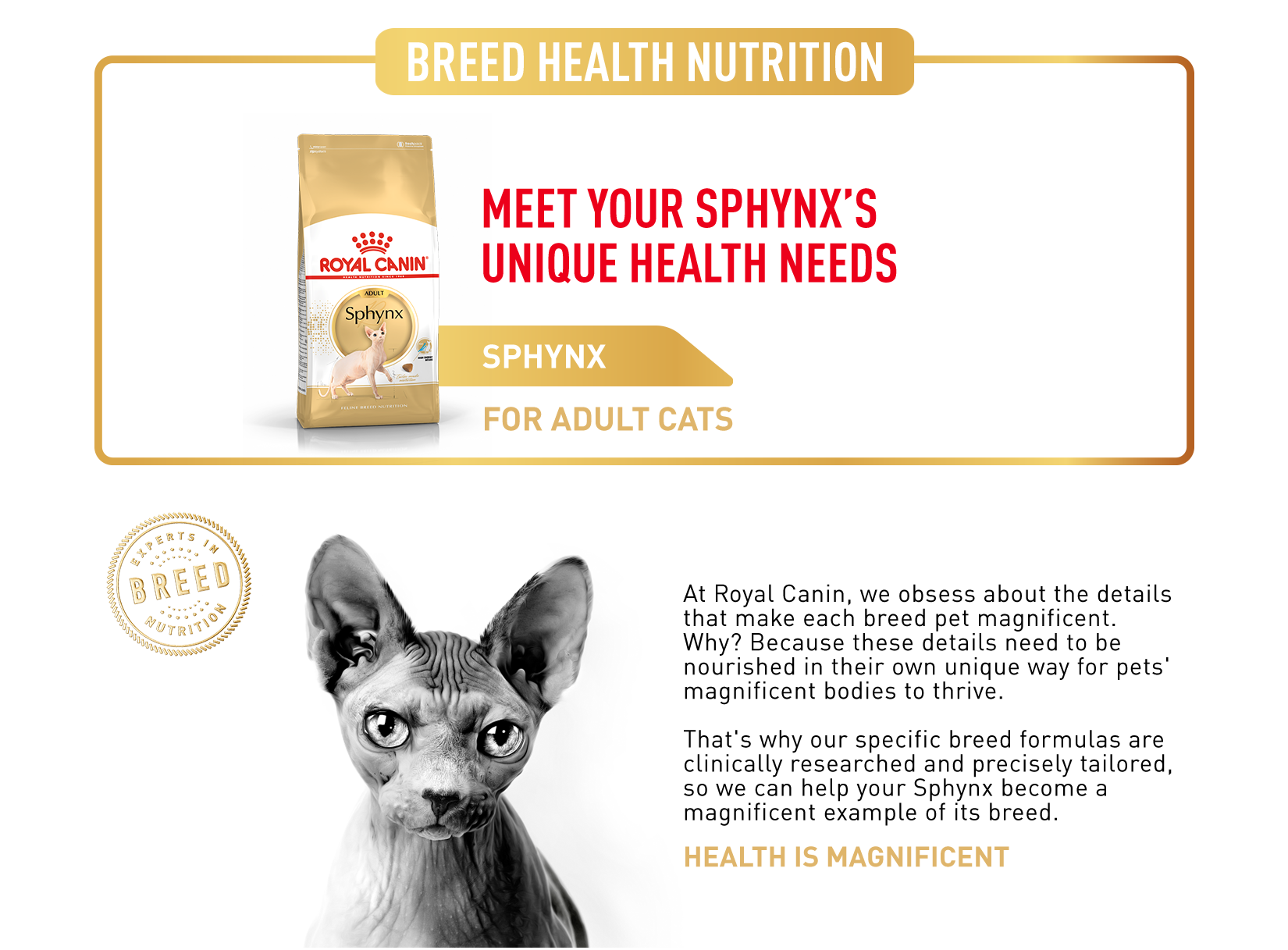 Feline Breed Royal Canin Sphynx ROYAL CANIN Feline Breed Nutrition