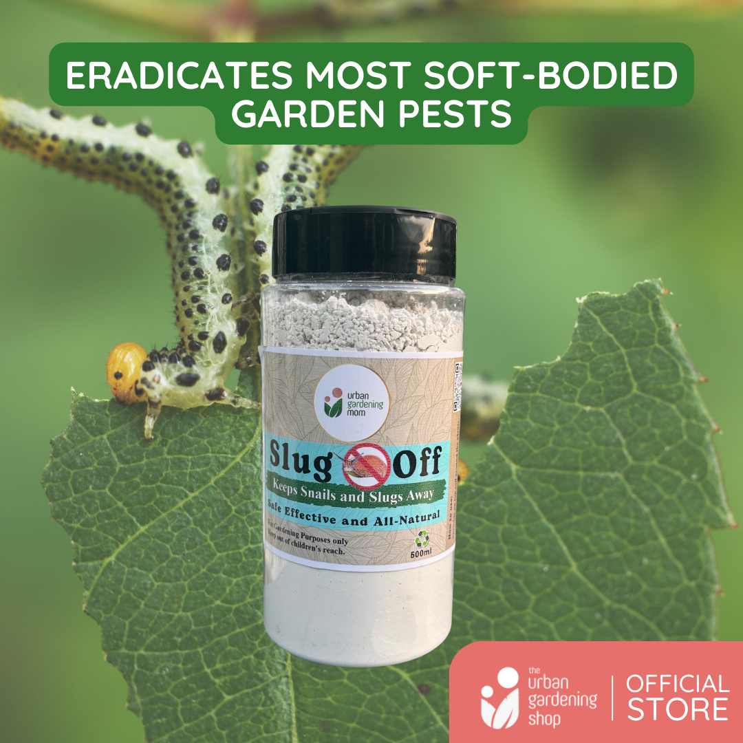 Slug Off - All-Natural Chemical-Free Non-toxic Solution to Your Garden ...