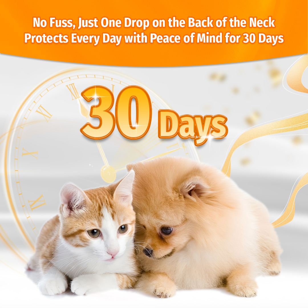 Cassiel Pet Fipronil Dewormer Anti Tick And Flea Spot Treatment Anti ... - Cat Flea Treatment With Ivermectin And Fipronil
