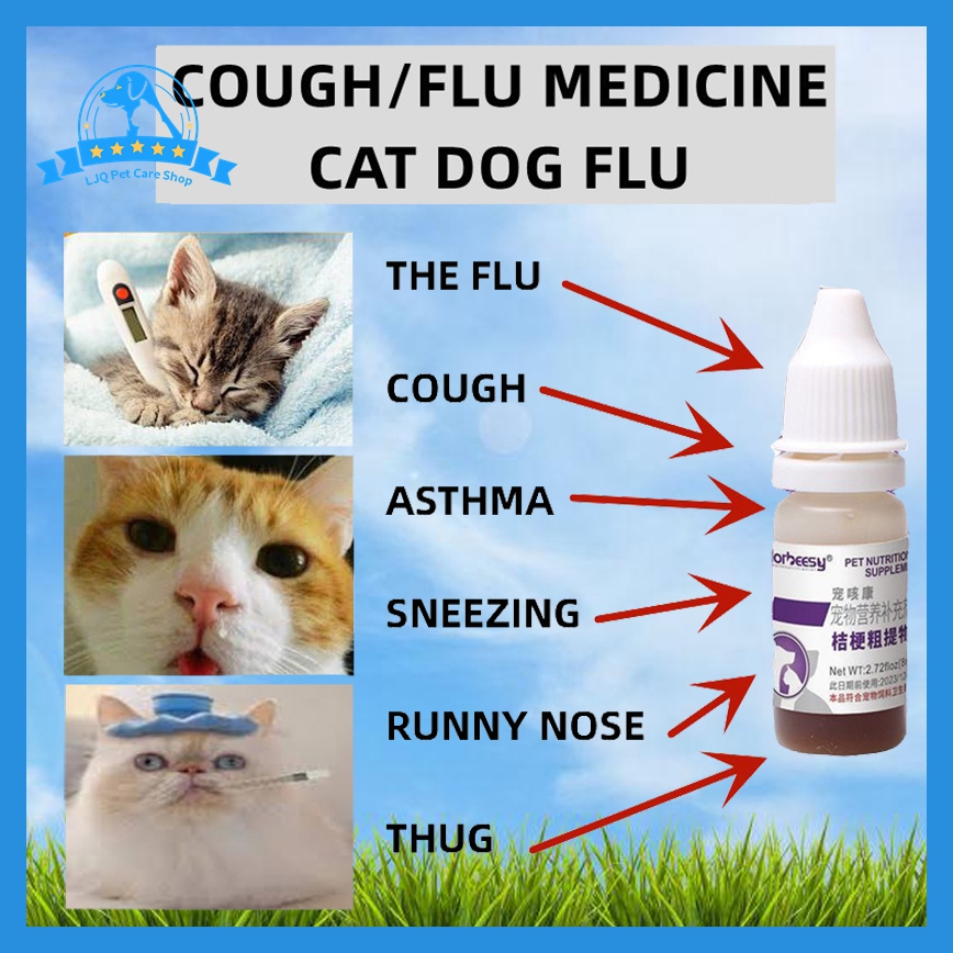 Runny Nose Meds For Cats With Colds Nova Cough Cold Remedy For