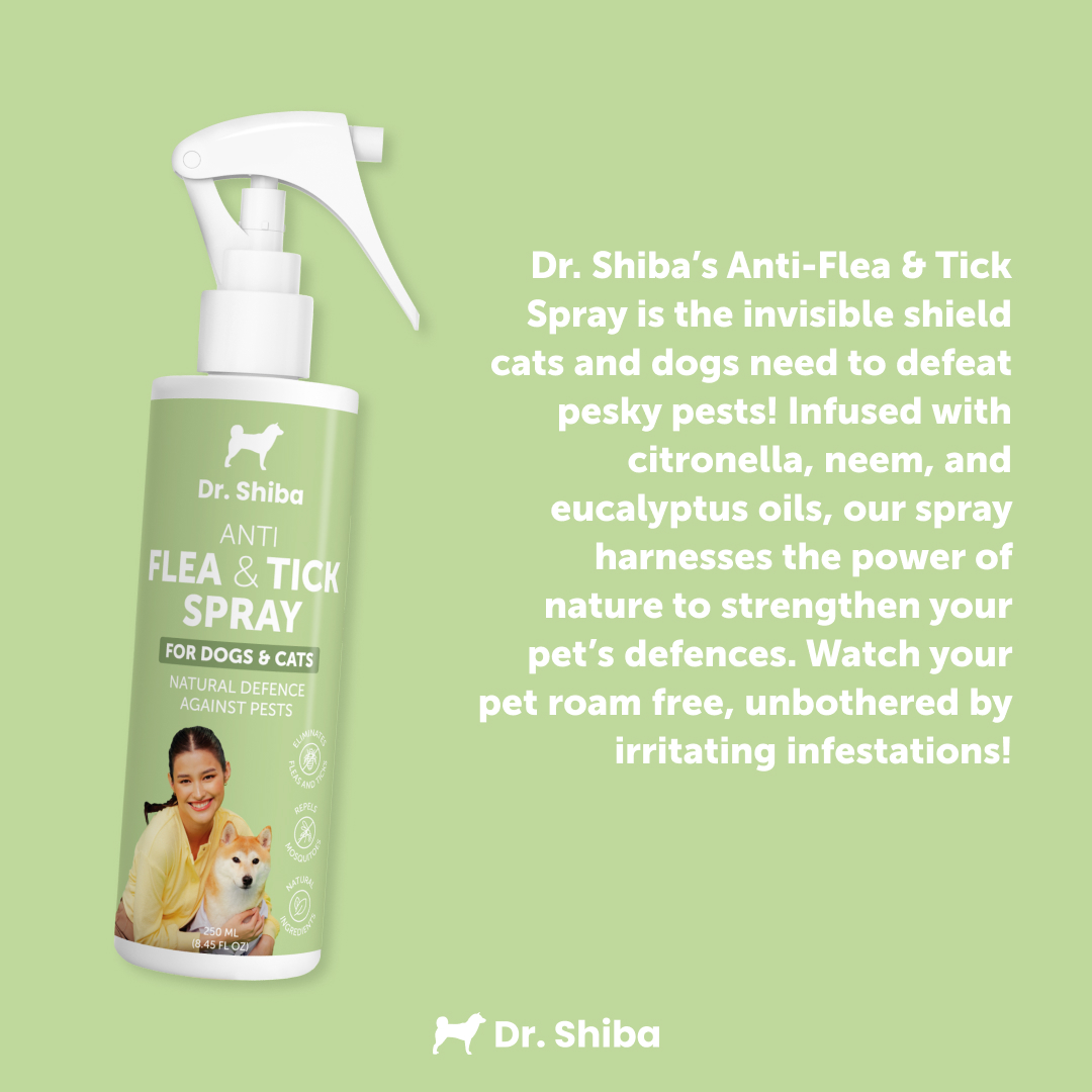 Dr. Shiba Anti Flea & Tick Spray and Soap Bundle for Dogs & Cats | With ...