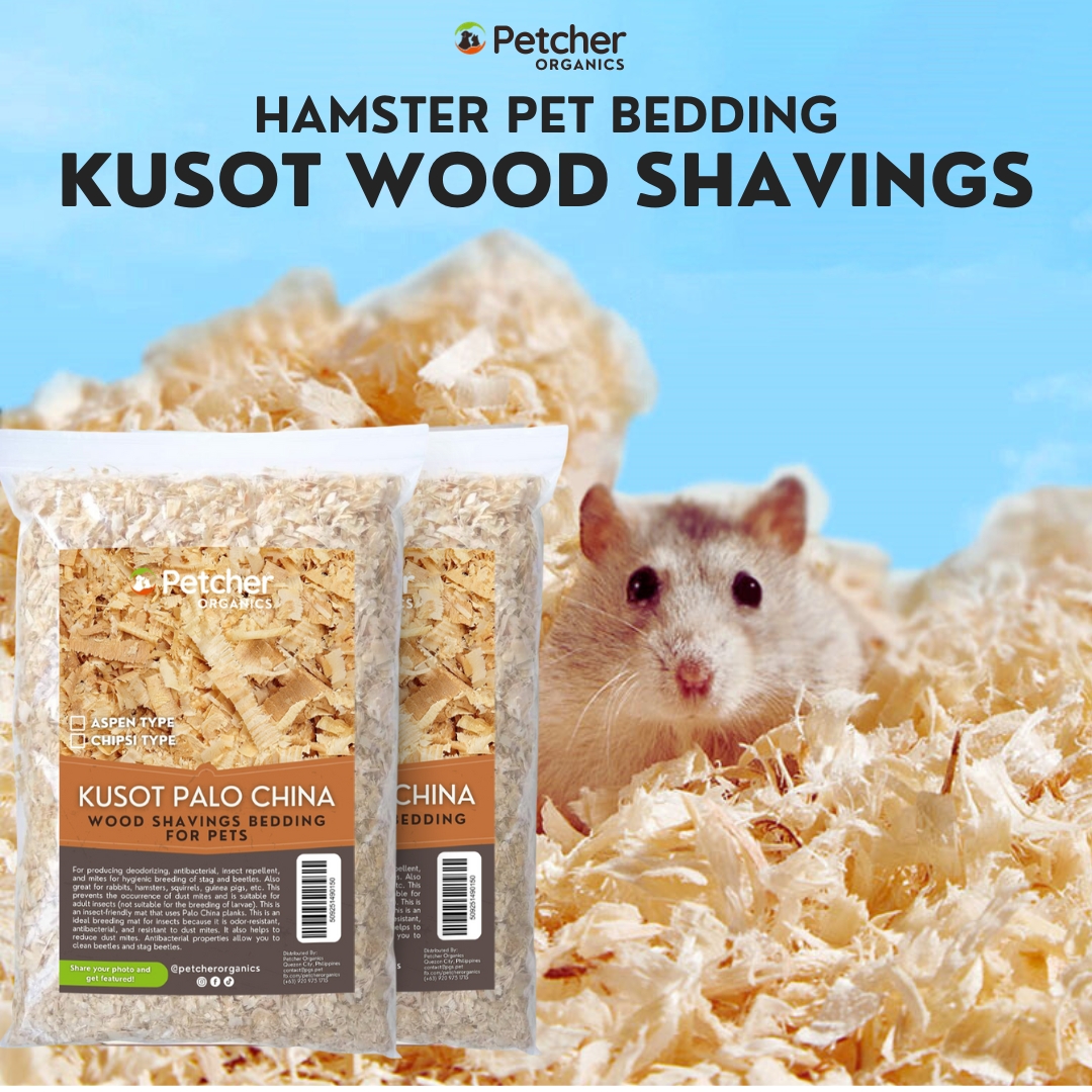 Wood chips for fashion hamsters