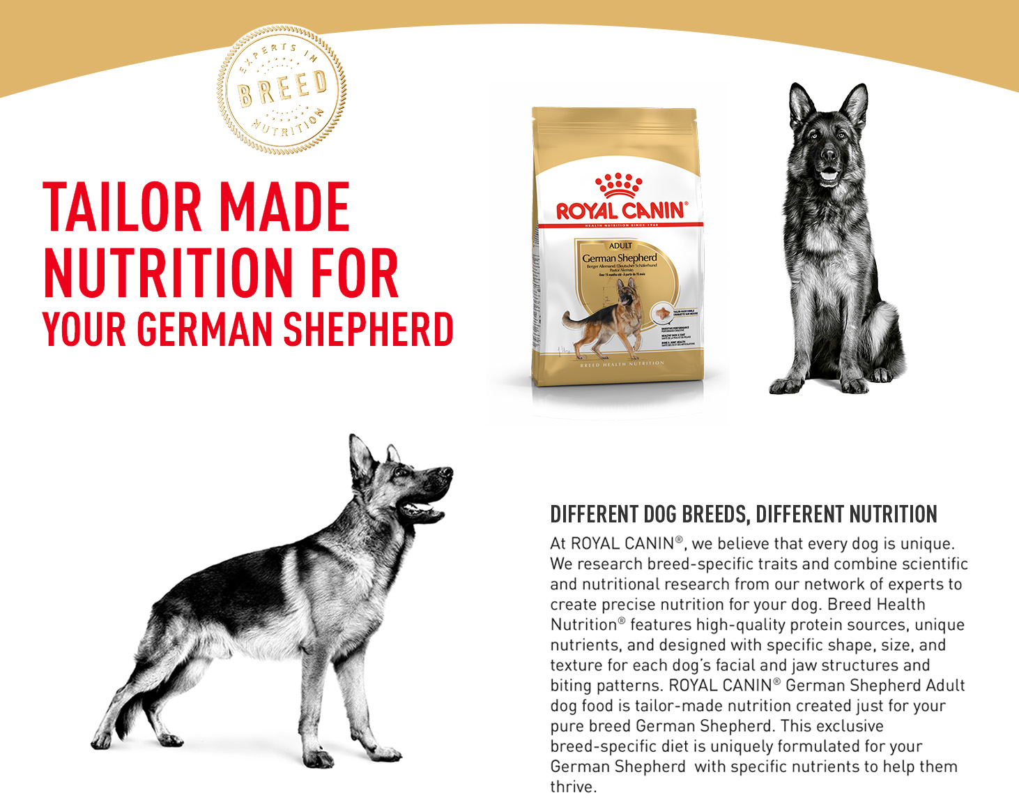 Royal Canin German Shepherd Adult 3kg Dry Dog Food Breed Health