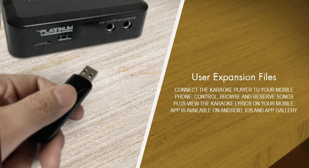 Platinum Karaoke KS100 Minibox SD Player with Digital TVBox with Wired