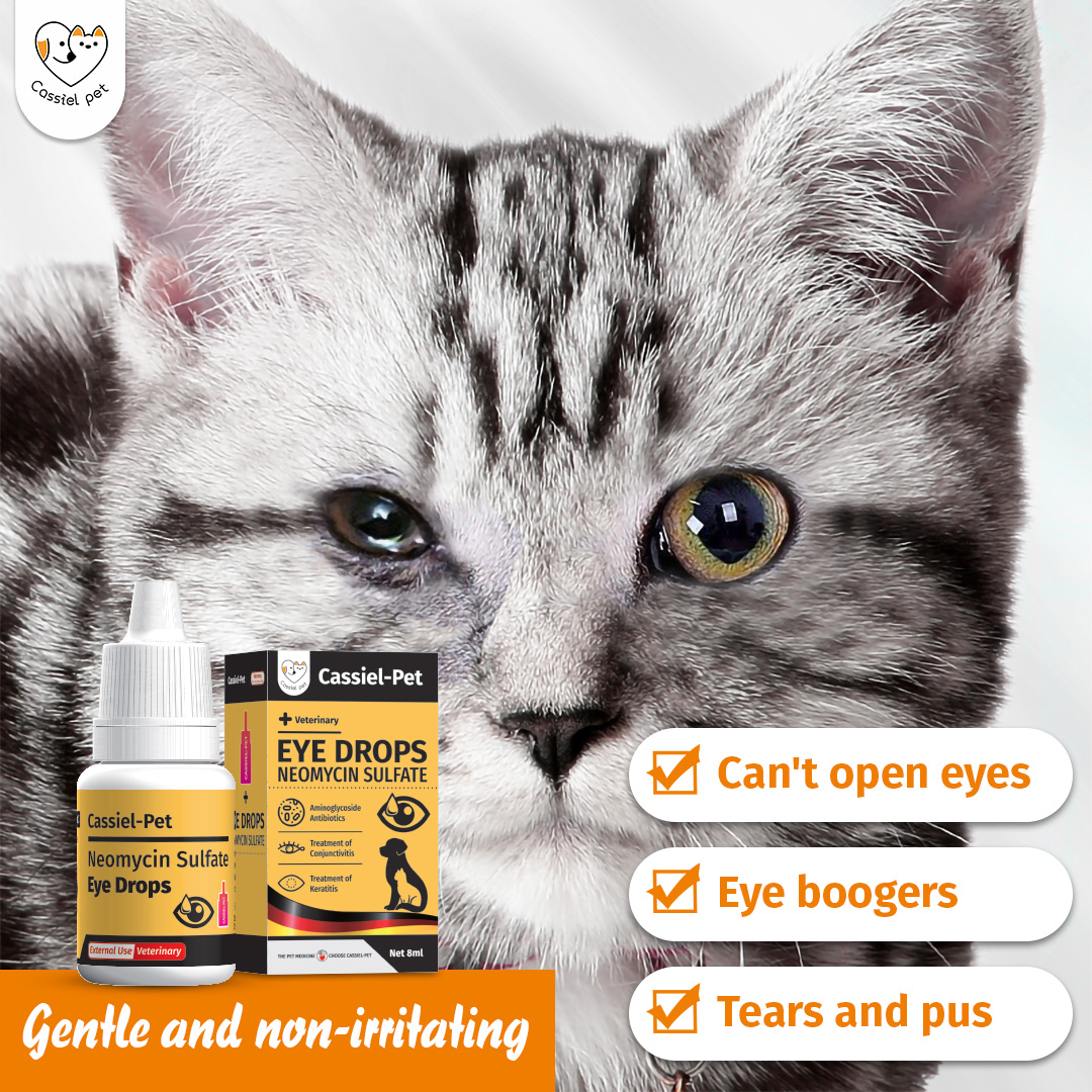CASSIEL PET Gentamicin Sulfate Eye Drops For Infection For Dogs & Cats