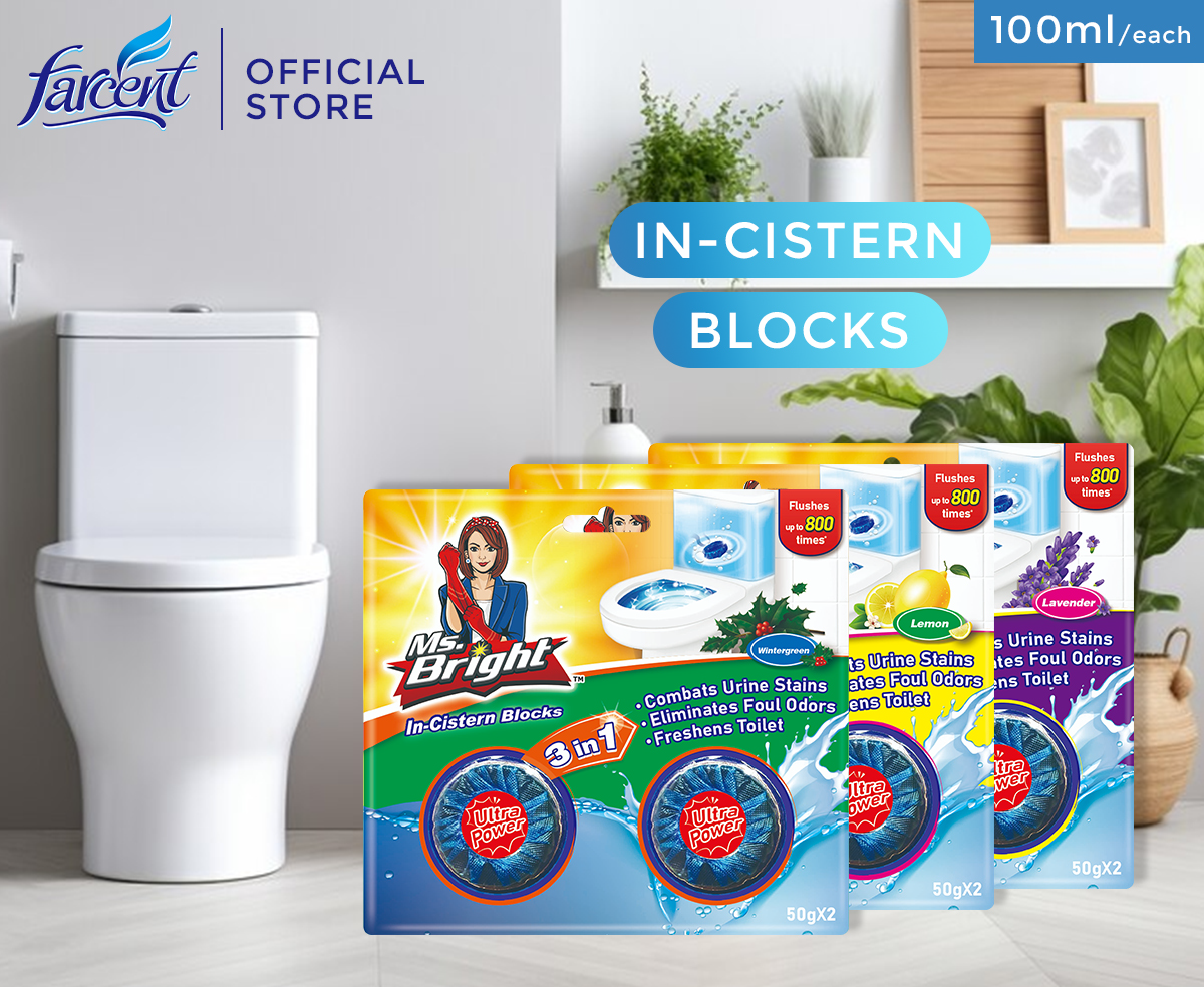 Farcent Toilet/ Cistern Blocks - Wintergreen (Eucalyptus) (50g each ...