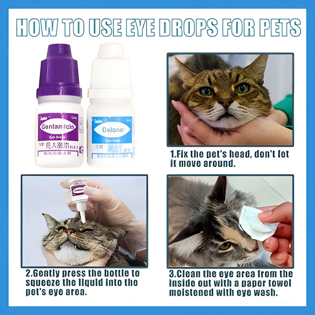 Gentamicin Eye Drops for Pet Cat Dogs Eye Infection treatment 5ml Cat ...