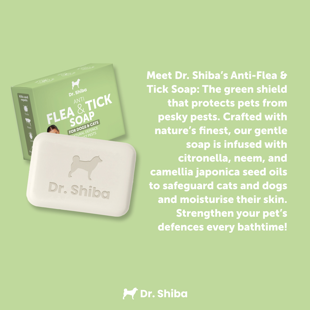 A closer look at Cat Flea Removal Using Neem Oil And Soap