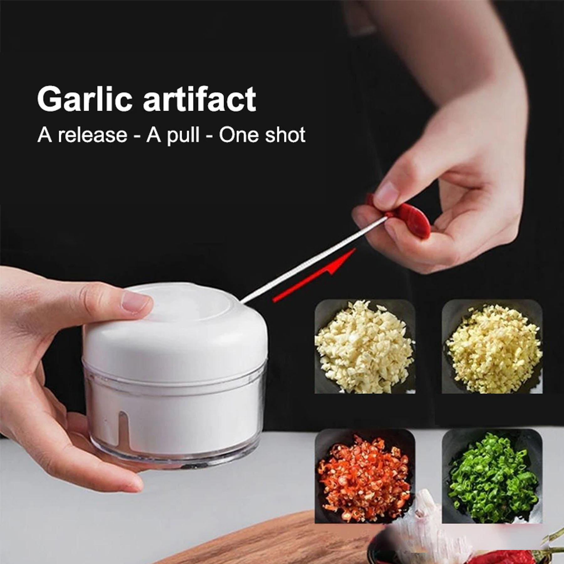 Manual Garlic Chopper, Kitchen Chopper Masher Hand Food Processor ...