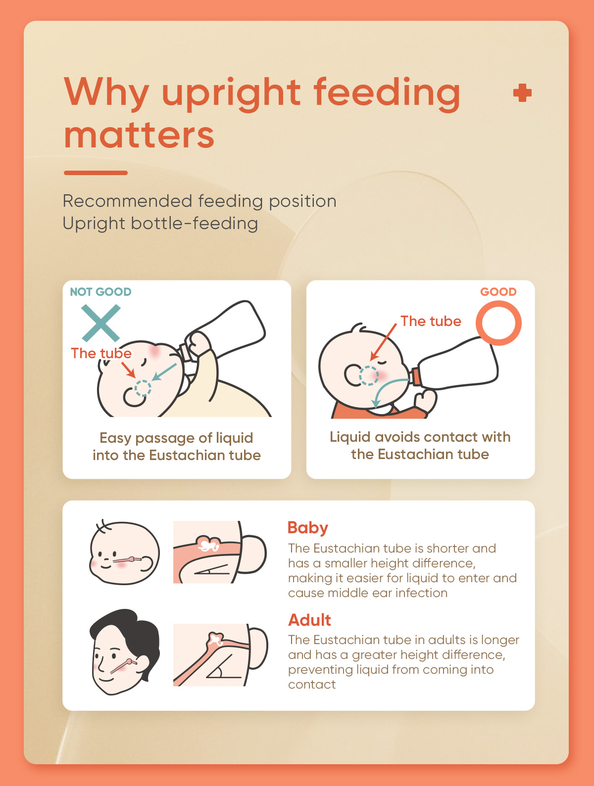 Yoboo Baby Feeding Bottle | High Quality PP | Off Center Teat 0-6 ...