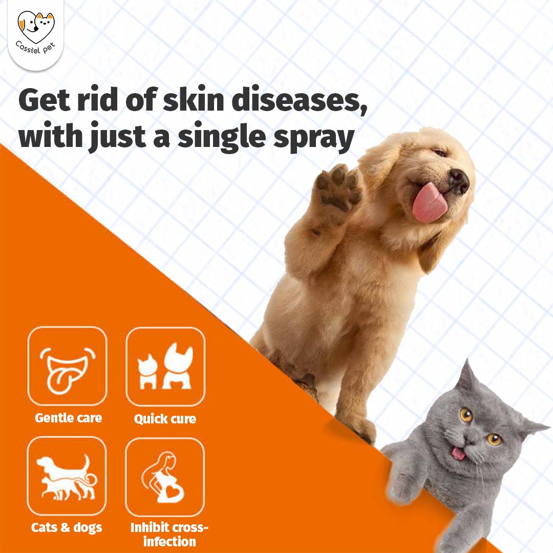 Visual Reference: Ringworm In Cats Does My Cat Have Ringworm