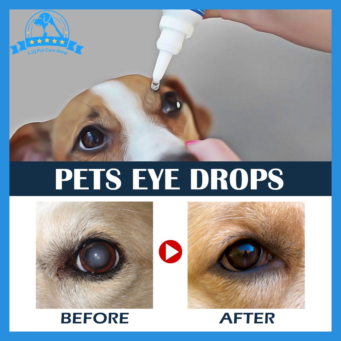 Pet Eye Drops for Dogs and Cats to Treat Eye Infections and Remove Tear ...