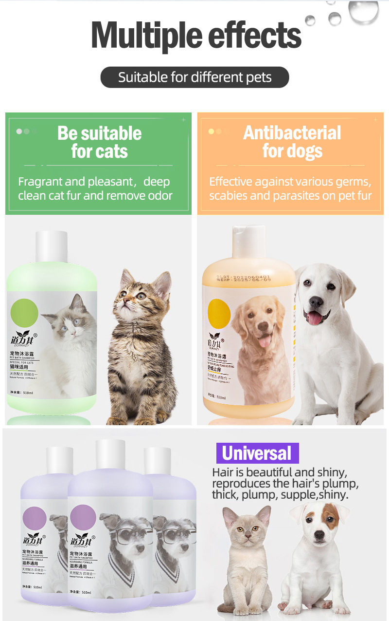 Illustration of Efficacious Flea Shampoo For Cat Mites