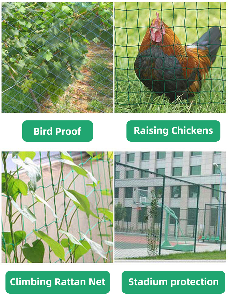 ICON CHICKEN NETS Pitch-row 1inch/1.25inch/1.5inch/2inch Fishing Net ...