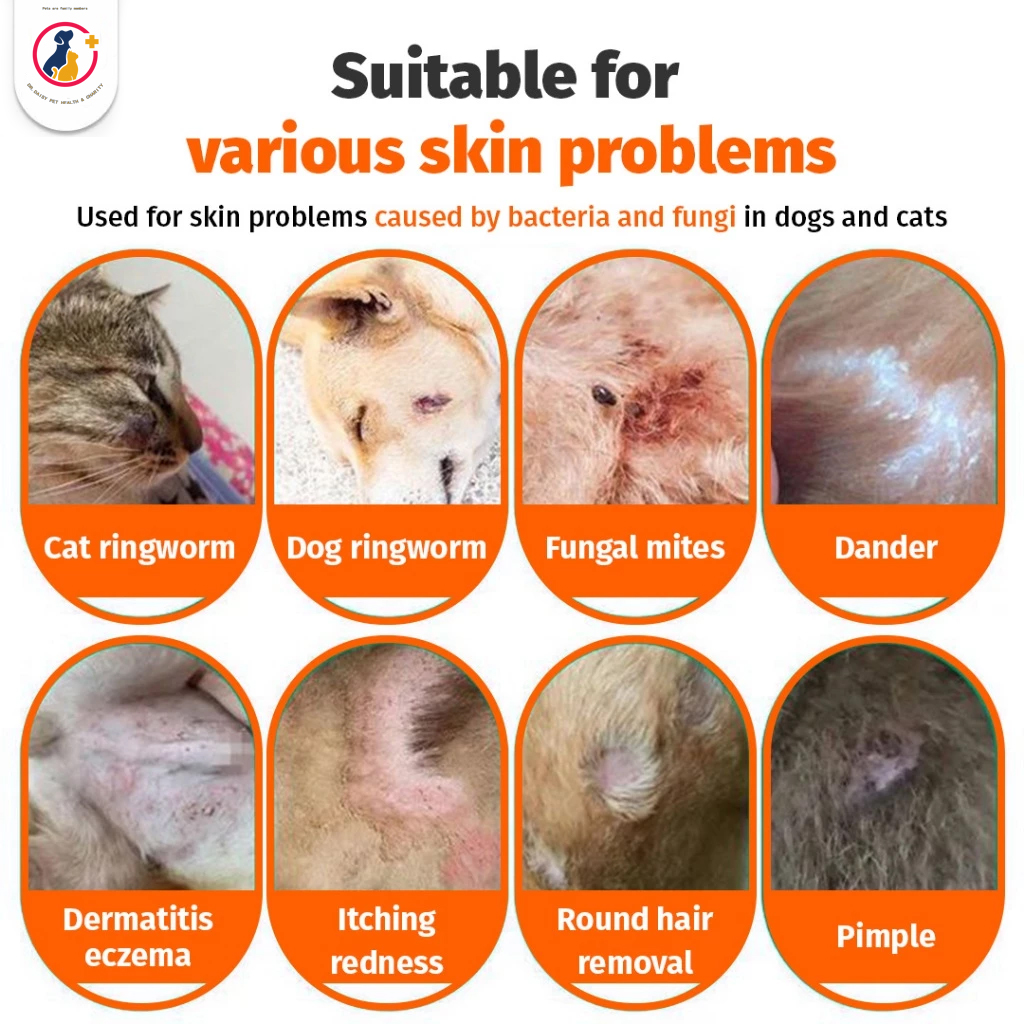 Photo inspiration: Visual Reference: Pet Antifungal Wound Spray For Dogs Cats Anti Fungal Spray