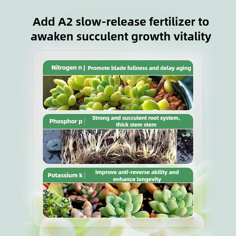 Visual Reference: 2 5Kg Cactus Succulent Soil Potting Mix Nutrient Soil For