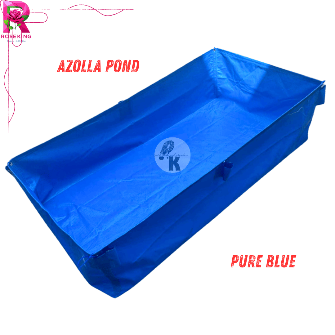 PVC AZOLLA POND 3x2x1ft FISH TANK (TEMPORARY) AFFORDABLE PRICE pwede po ...