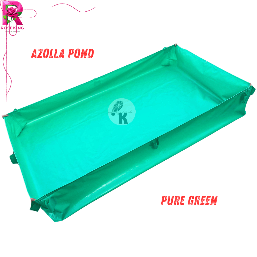 PVC AZOLLA POND 3x2x1ft FISH TANK (TEMPORARY) AFFORDABLE PRICE pwede po ...