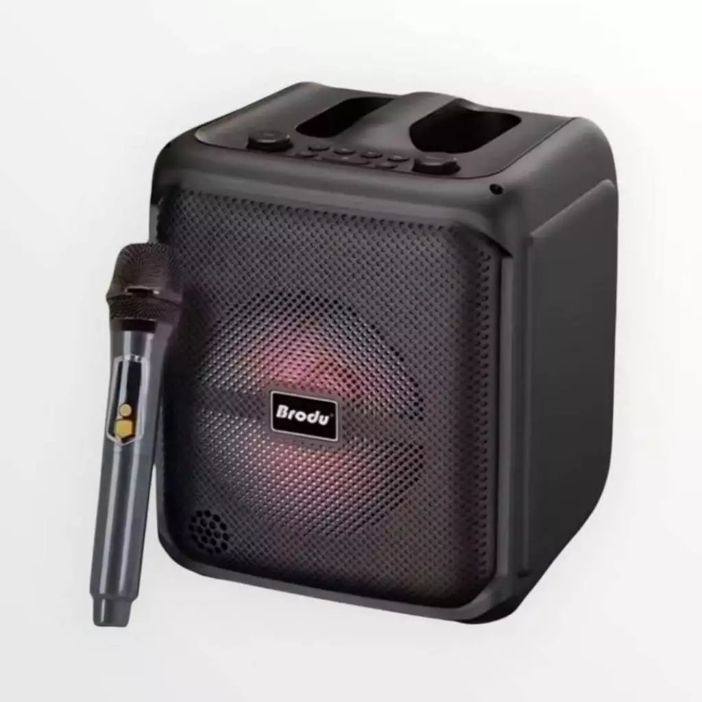 Brodu BTS-1935 6.5 inch IKARAOKE BOX professional system Bluetooth ...