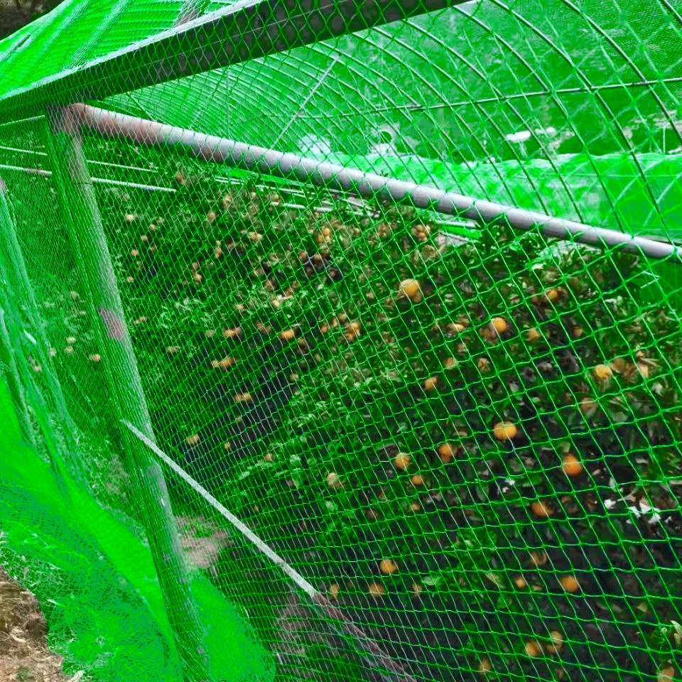 Free Rope Chicken Net Range Net For Chicken Lambat Outdoor Defense Bird ...