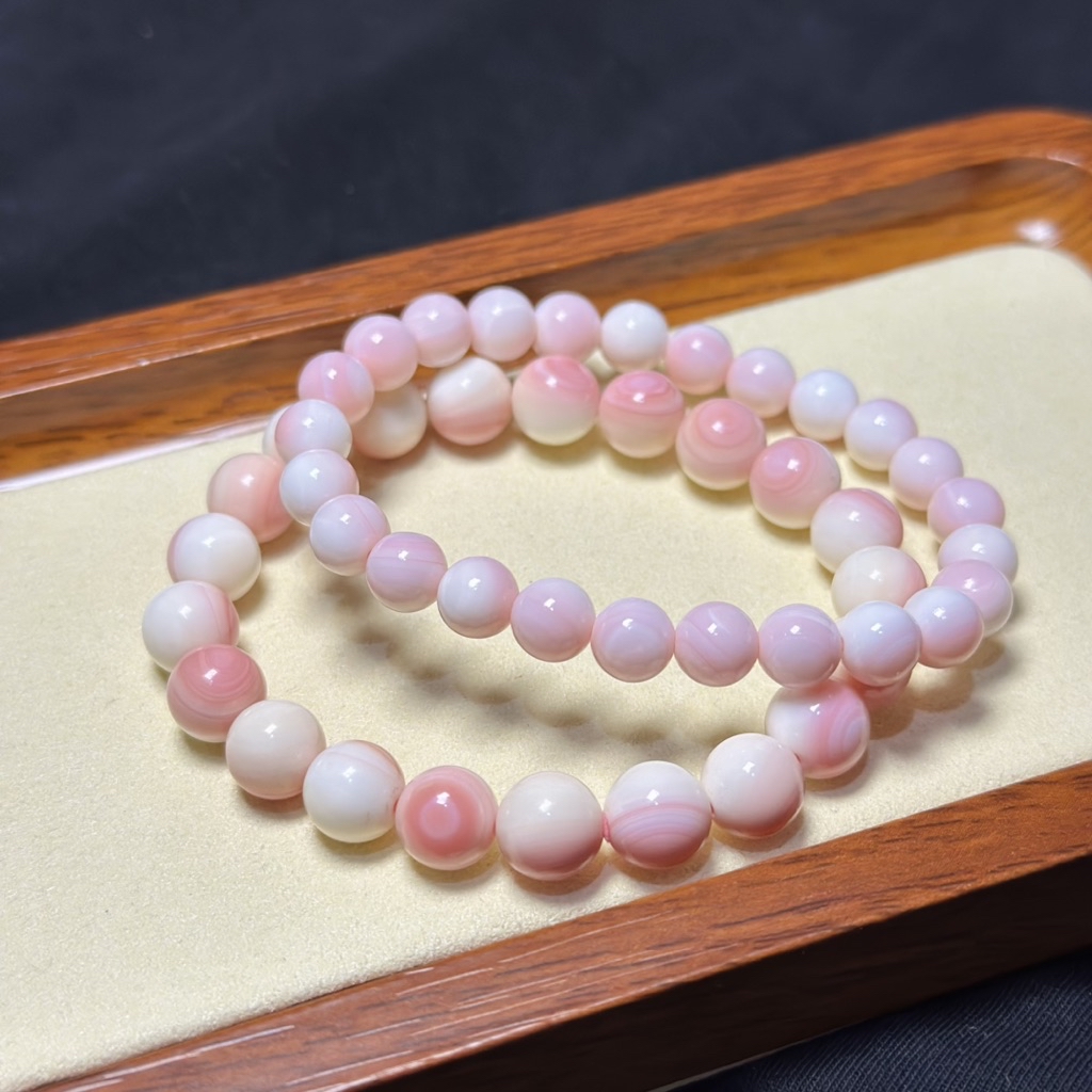ASTERA Queen Conch Shell with certificate | Shopee Philippines