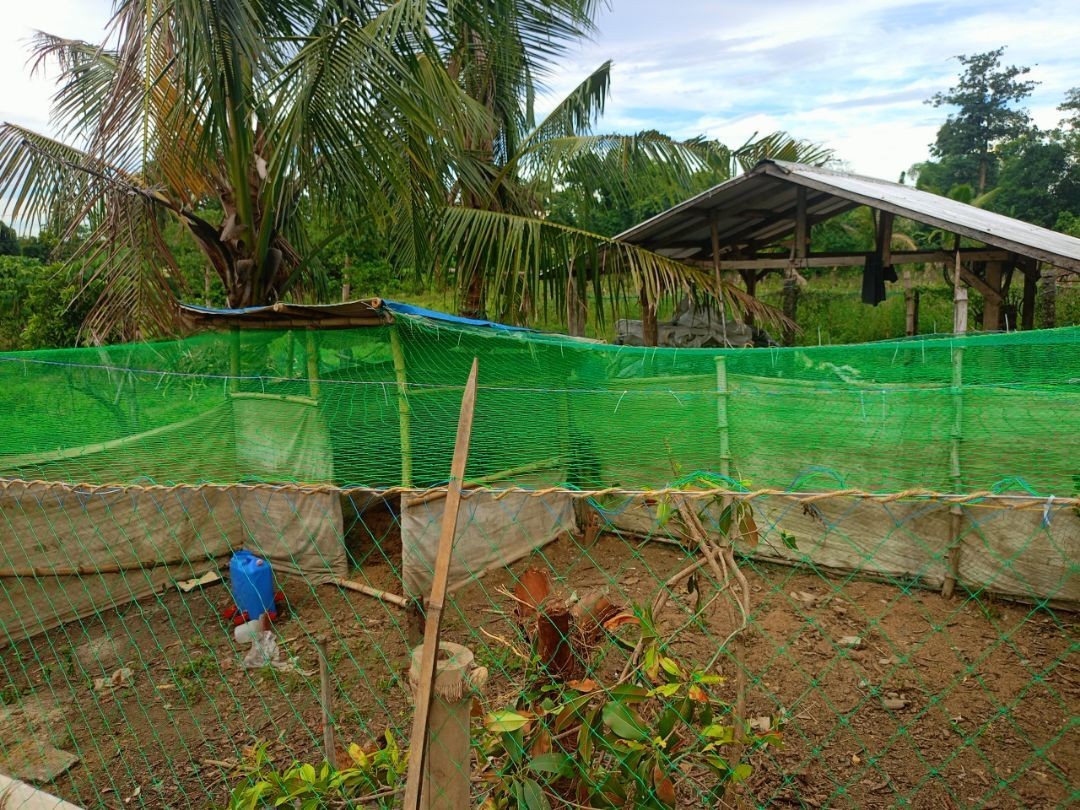 100M/50M Farm Poultry chicken net Farming Net Outdoor Garden Vegetable ...