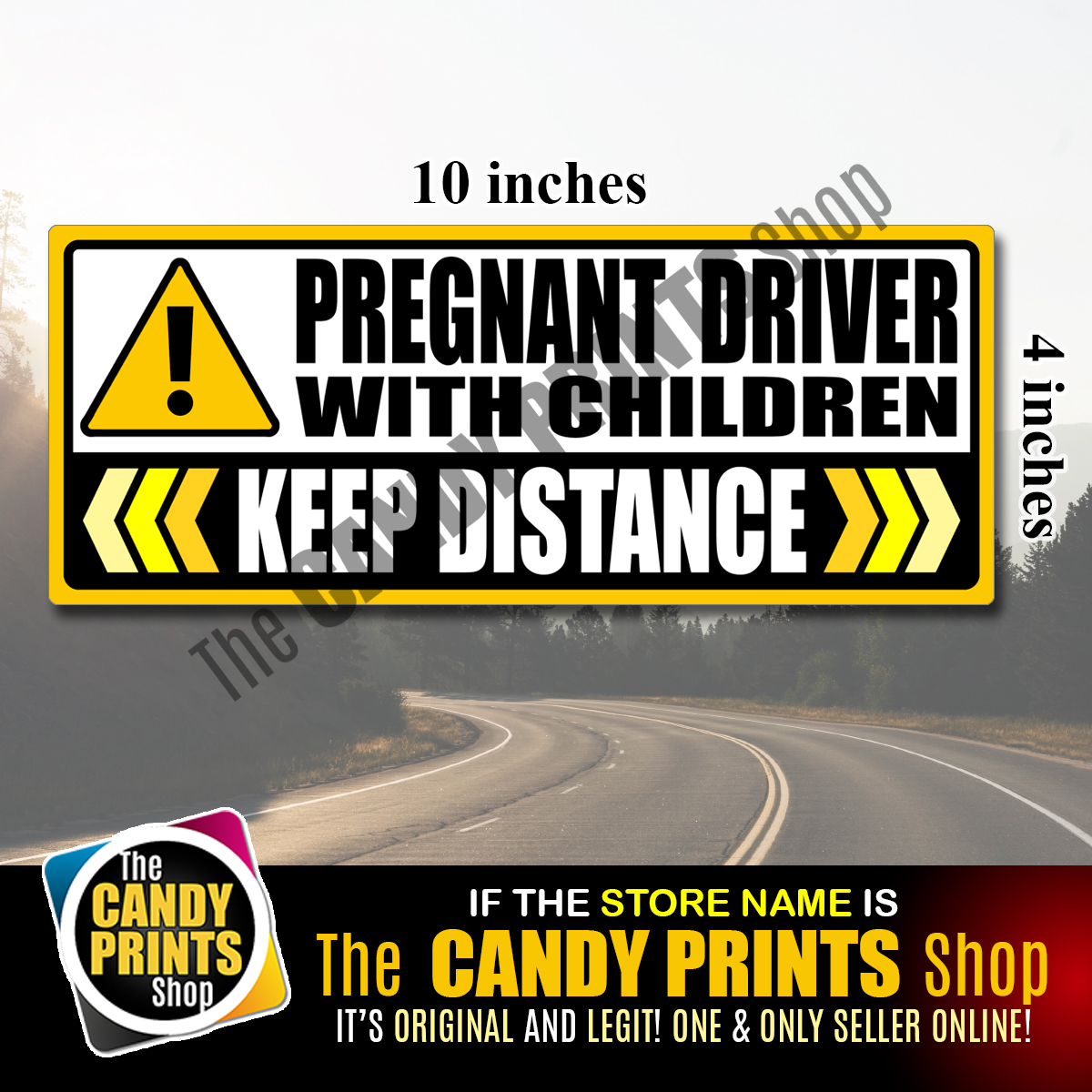 10 x 4 inches - Magnetic and Vinyl Car Sticker (NEW DRIVER, LADY DRIVER ...