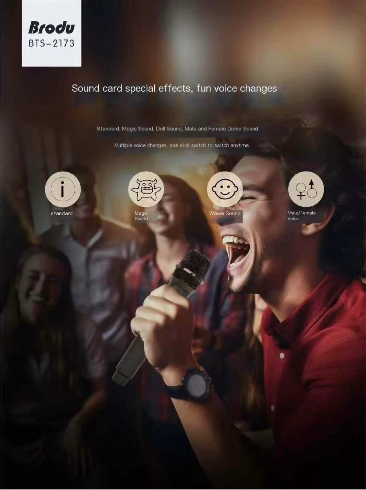 Brodu BTS-2175 Bluetooth Speaker Karaoke Speaker RGB Light HighQuality ...