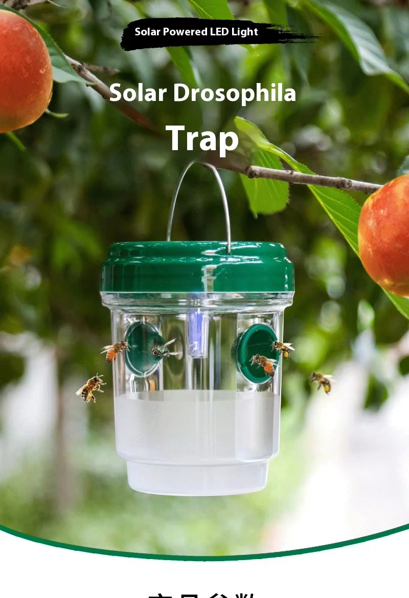 Fruit Fly Attractant Trap Wasp Trap Fruit Fly Catcher Vegetable Garden ...