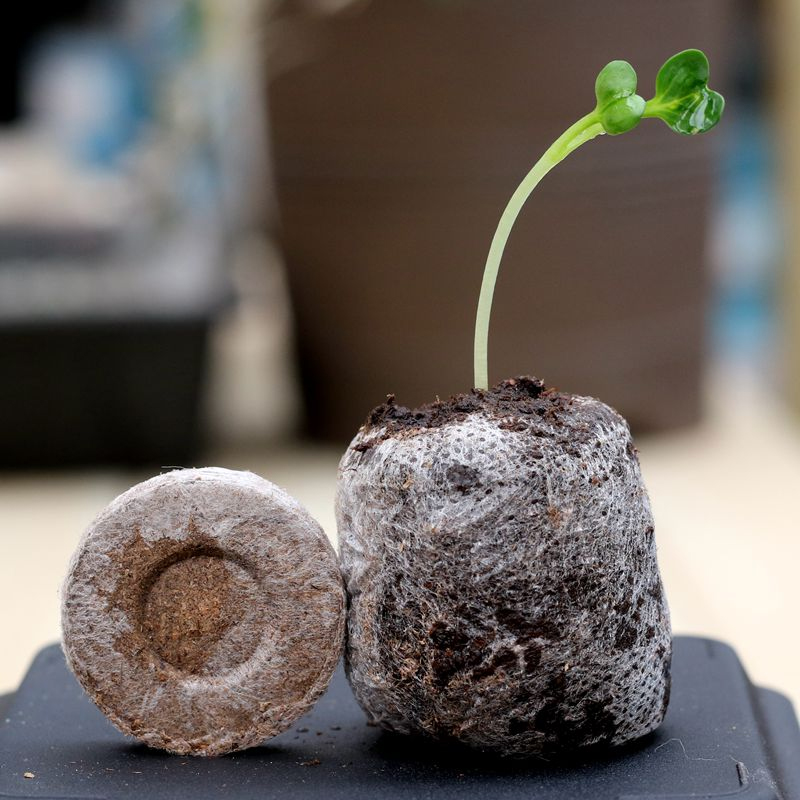 Seedling block compressed nutrient soil flower cuttings vegetable ...